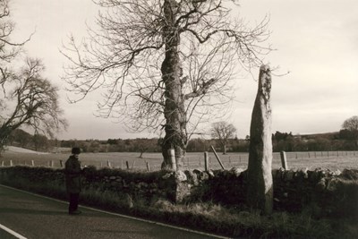Standing stone at Ospisdale in its original location