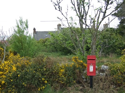 Roadside post box marking site of the old Fourpenny Post Office