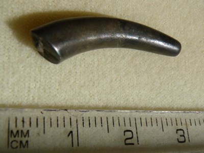 Terminal of a Viking circular or oval silver bracelet