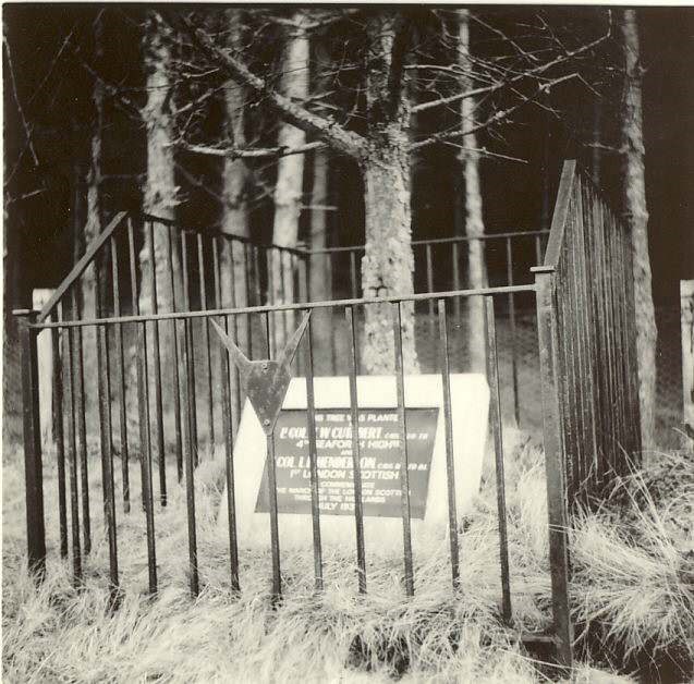 photograph of memorial tree planted by Argyll & Sutherland Highlanders