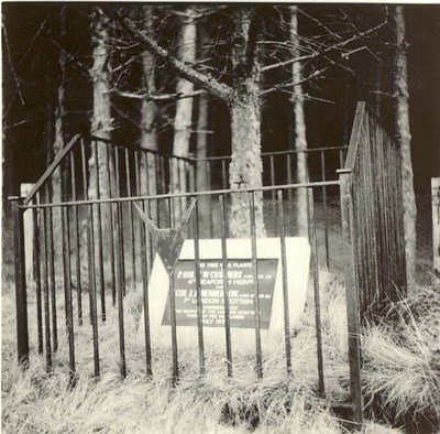 photograph  of memorial tree planted by Argyll & Sutherland Highlanders