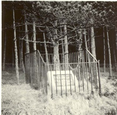 photograph  of memorial tree planted by Argyll & Sutherland Highlanders