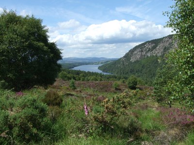 Ledmore and Migdale Wood walk - view of Loch Migdale