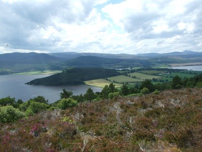 Ledmore and Migdale Wood walk - view of Dun Creich