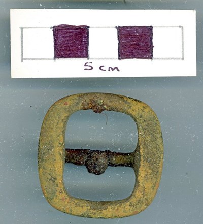 Objects discovered on Pitgrudy Farm -  horse harness buckle