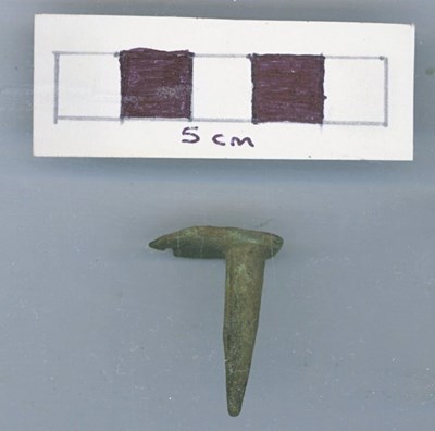 Objects discovered on Pitgrudy Farm - copper alloy nail or stud