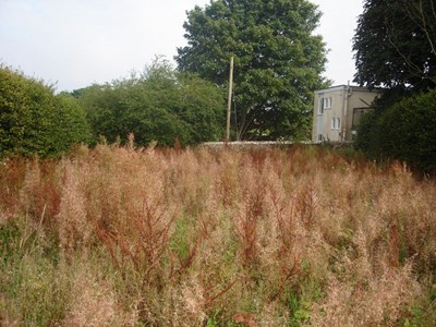 Burghfield House Hotel of overgrown gardens