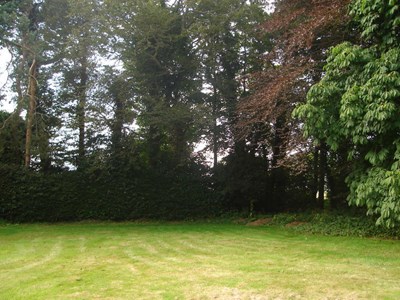 Burghfield House Hotel lawn to boundary tree line