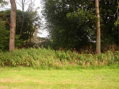 Burghfield House Hotel overgrown garden borders