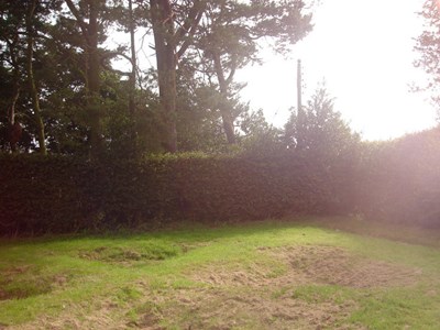 Burghfield House Hotel hedge and old garden beds