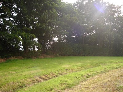 Burghfield House Hotel garden path and lawn area
