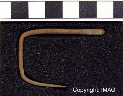 Treasure Trove objects from Balloan, Dornoch - Garment pin