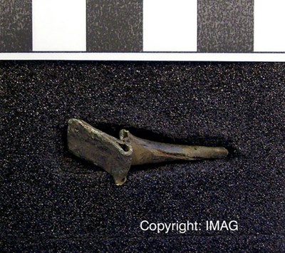 Treasure Trove objects from Balloan, Dornoch - Pin fragment