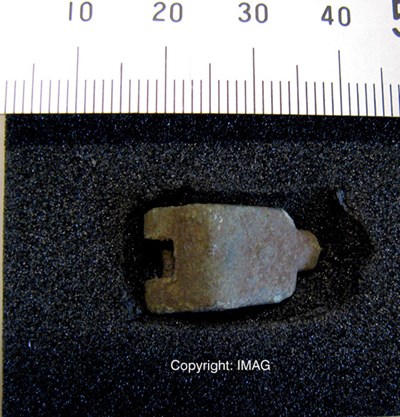 Treasure Trove objects from Burghfield, Dornoch - hinge