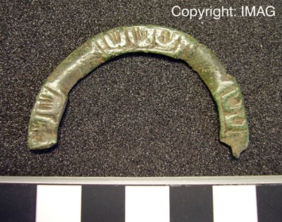 Treasure Trove objects from Pitgrudy - Annular brooch fragment