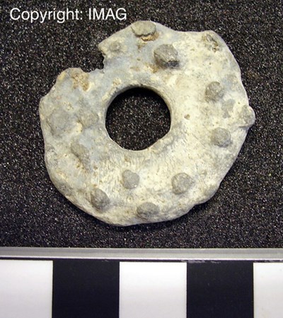 Treasure Trove objects from Pitgrudy -  Spindle whorl