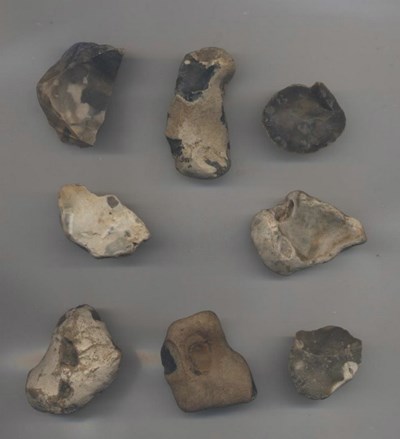 Eight flint fragments