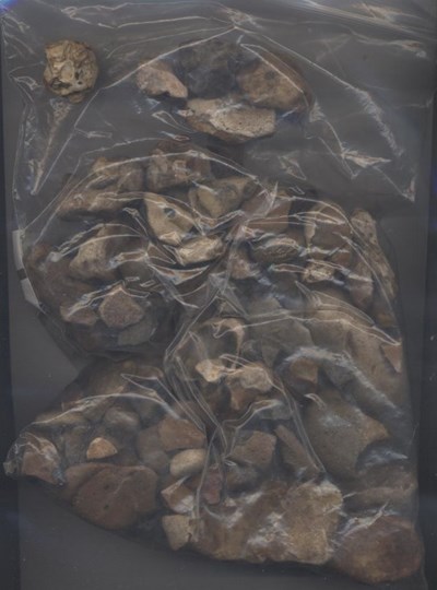 A bag of flint samples found at Littleferry
