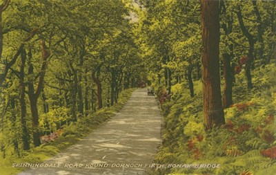 Colour tinted postcard of Spinningdale Road