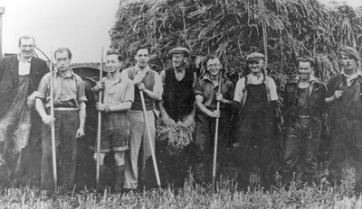 Harvest at Cuthill