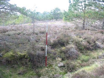 Site of a hut circle behind Ospisdale -image 3