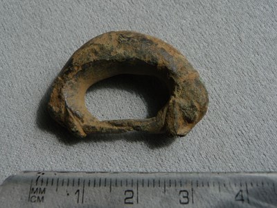 Treasure Trove  Ospisdale  - Zoomorphic D-shaped buckle