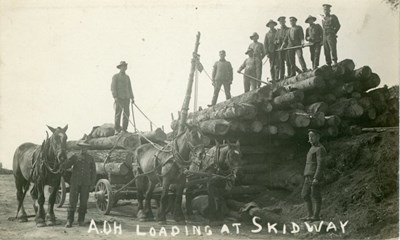 'A.O.H. loading at Skidway'