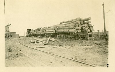 Log Wagons at Skidway