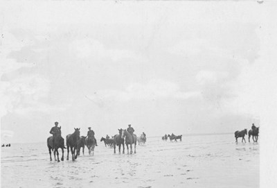 C.F.C. horses exercising on Dornoch Beach