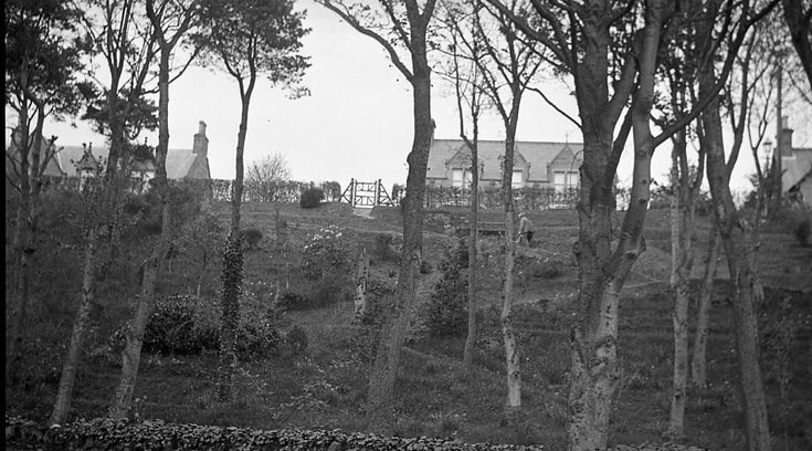 Bank between Cnoc An Lobh and Castle Street
