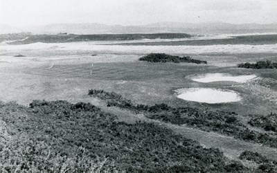 The 17th green