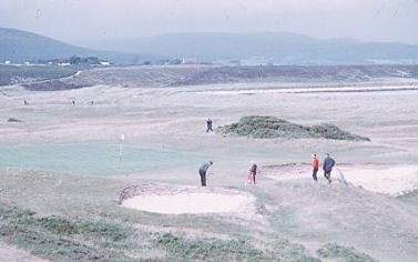 Three golfers on the championship course