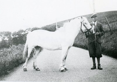 Bill Wright milkman with his horse