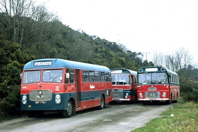 Single deck buses in red & blue livery at Dornoch