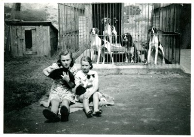 Kennels at Embo Street