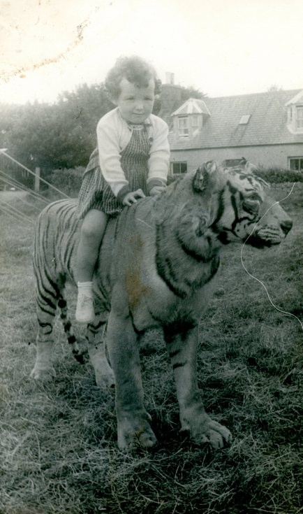 Young girl sitting on a tiger c1956