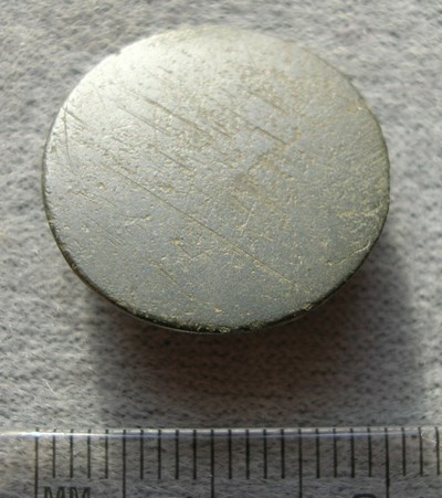 Button found in Dornoch woods