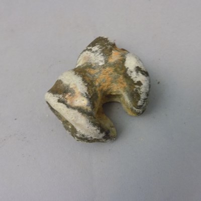 Seal bone