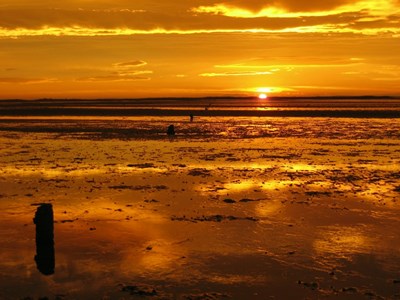 Sunset over the Dornoch Firth at the close of the survey