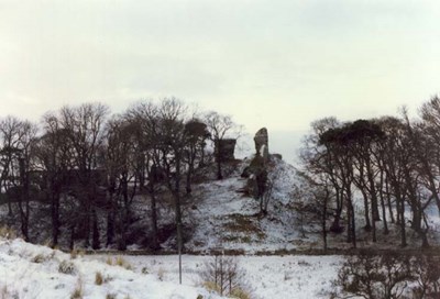 Skelbo castle