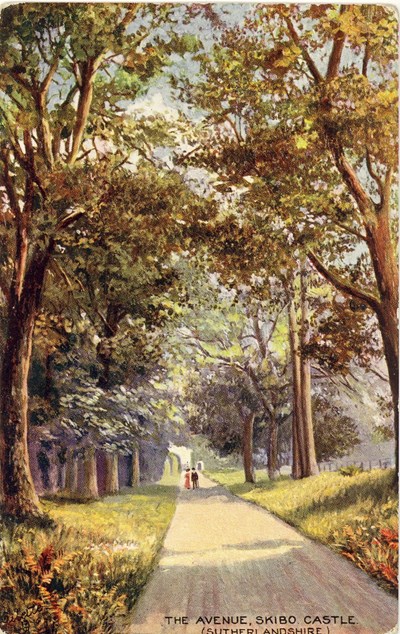 Postcard of painting of The Avenue, Skibo