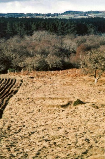 Cyderhall Viking grave