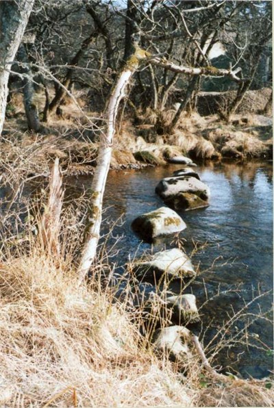 Cyderhall Viking stepping stones