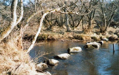 Cyderhall Viking stepping stones