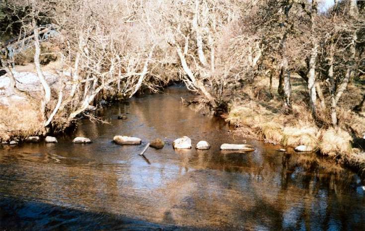 Cyderhall Viking stepping stones