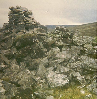 Broch at Brae, Strath Carnaig