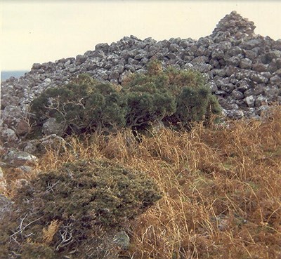 Chambered Tomb at Loth Beg ~ Long Cairn
