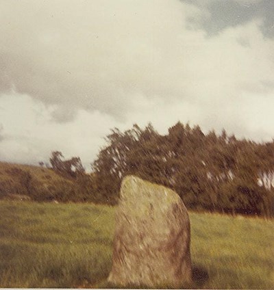 Chambered Tomb ~ Clava Mains Cairn remains