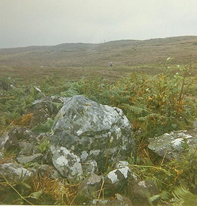 Chambered Tomb at Ledmore - Spinningdale ~ Earthfast Boulder in Cairn