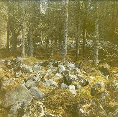 Chambered Tomb at Harriet Plantation ~ Ruins